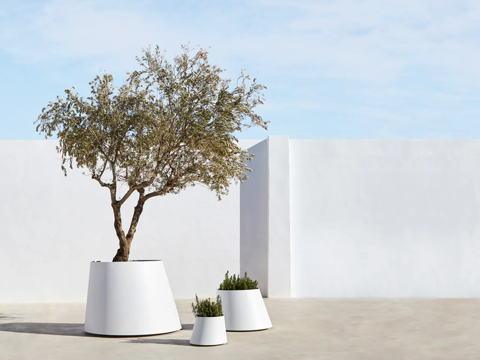 Systemtronic Conee Plant Pot, vista trasera
