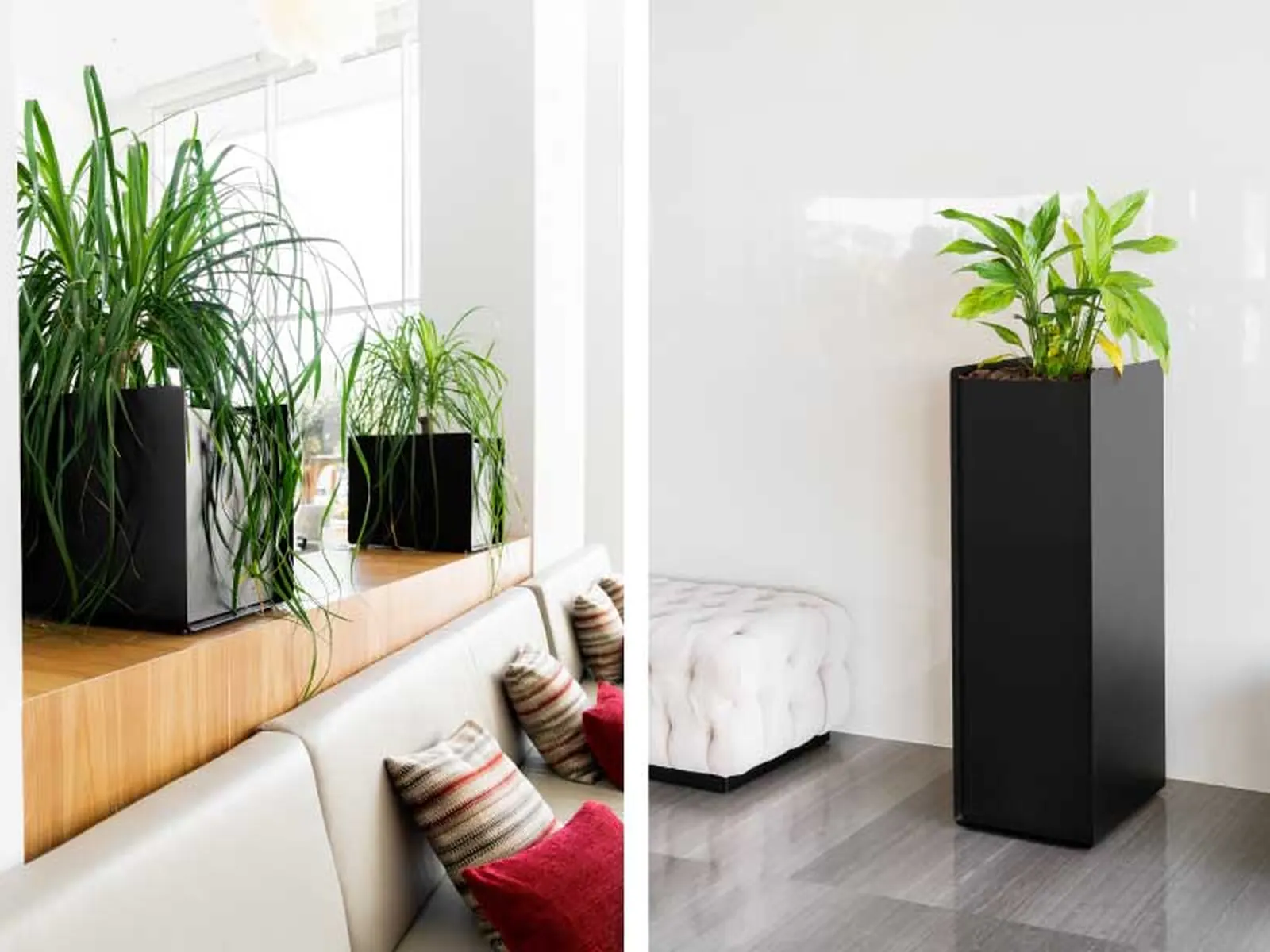 Systemtronic Crepe Plant Pot, vista de conjunto